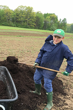 boy shoveling manure