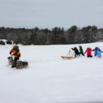 kids go dogsledding with Sarah and elkhounds