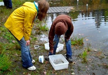 students collecting specimens