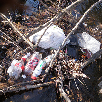 trash and flotsam in the water