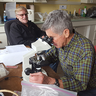 volunteers look into a microscope