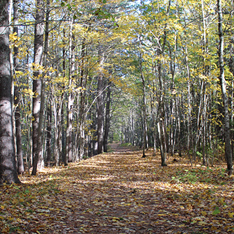 Dodge Point trail in October