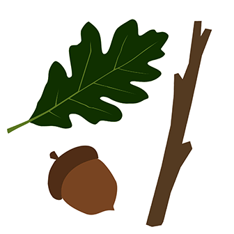 leaf, acorn and stick graphic