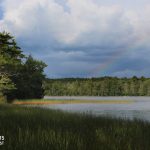 rainbow at Doyle Preserve background