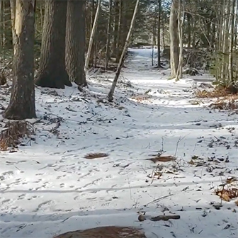 snowy trail at Walpole Woods