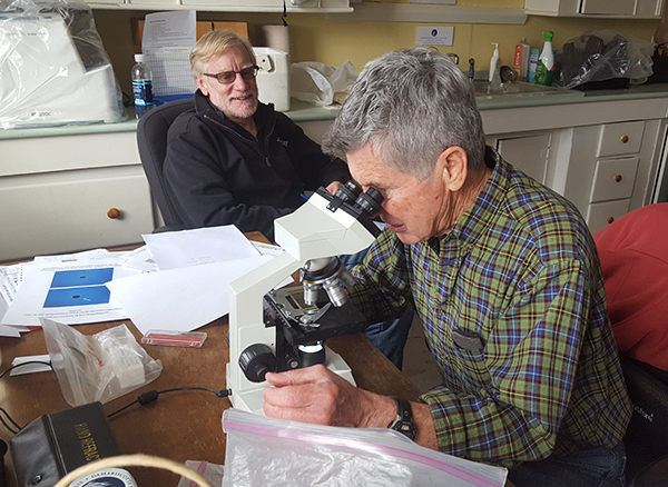 Phytoplankton monitoring volunteers in the lab