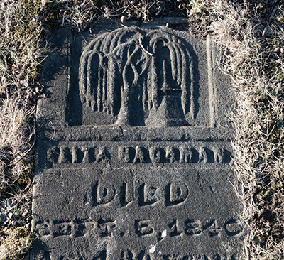 Headstone of Eliza Hagaman with willow motif