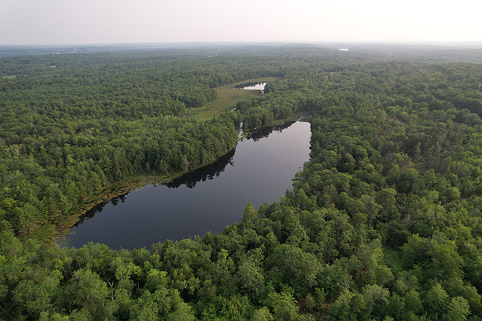An aerial view of the Half Moon Pond Conservation Area