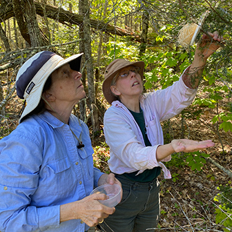 Joan Ray and entomologist Colleen Teerling releasing predatory beetles
