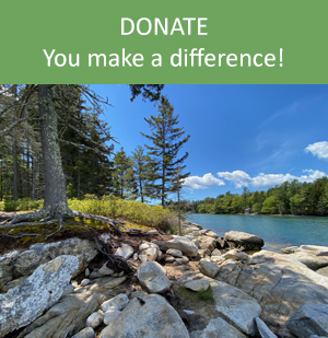 Donate - you make a difference!