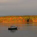 boat moored against a backdrop of sunlit fall foliage