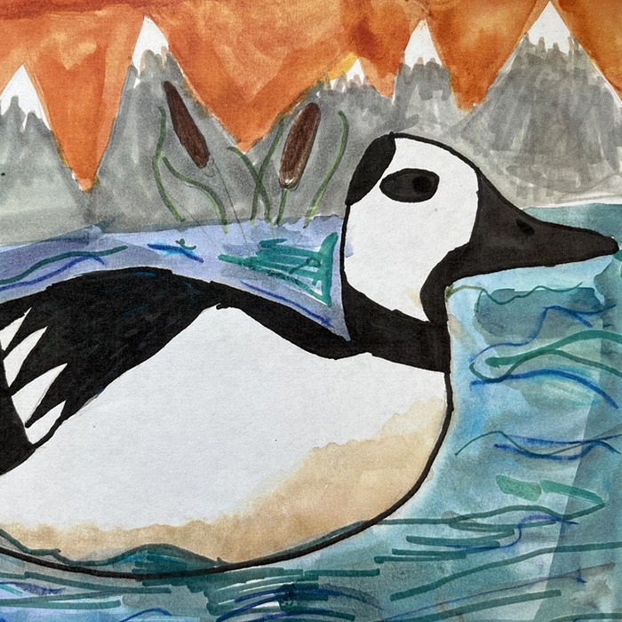 Student painting of a loon