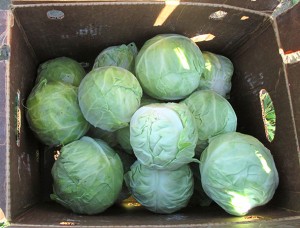 a box of cabbages  